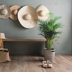 PRQ_SAGA_Normandie_RSH1_big copy