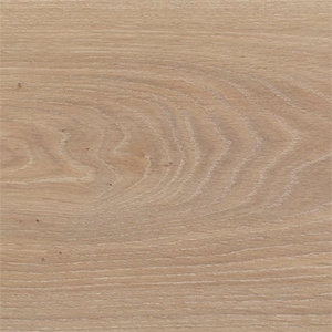 MAXI_350-BELIEVE copy