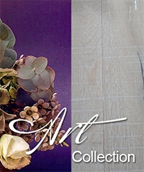 Art Collection